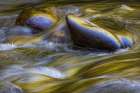 Spring foliage colors and sky reflecting on ripples on stream, Great Smoky Mountains NP, Tennessee Art Print
